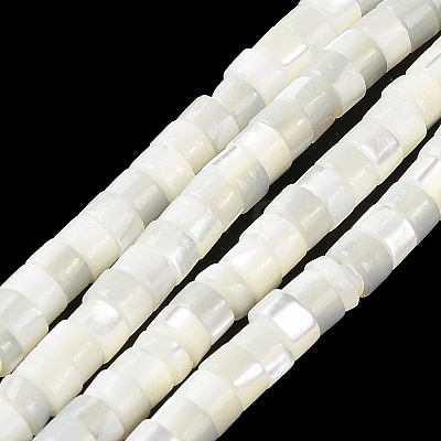 Natural Trochus Shell Beads Strands BSHE-E030-09B-01-1