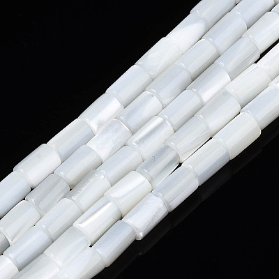 Natural Freshwater Shell Beads Strands X-SHEL-N003-26-A01-1