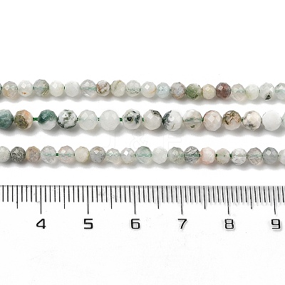 Natural Tree Agate Beads Strands G-G189-D12-03-1