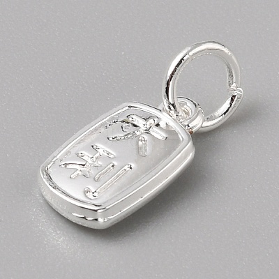 Brass Charms LS-FIND-WH0159-63S-24-1