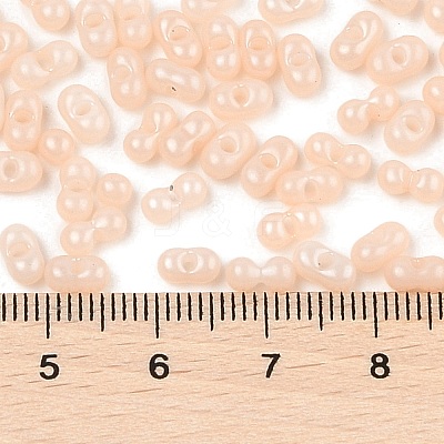 Baking Paint Glass Seed Beads SEED-L011-09A-11-1