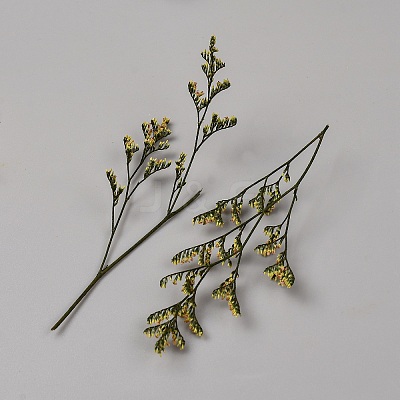 DIY Micro Landscape Making Kits RN-CBA80D0-01C-1