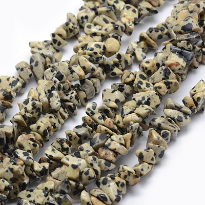 Natural Dalmatian Jasper Beads Strands G-P332-20-1