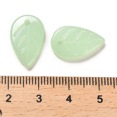 Translucent Acrylic Pendants LS-OACR-Z016-10A-1
