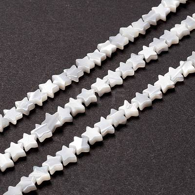 Natural Trochid Shell/Trochus Shell Beads SSHEL-O001-25A-01-1