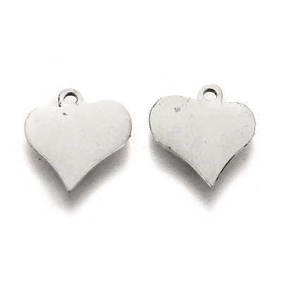 Tarnish Resistant 304 Stainless Steel Charms STAS-I151-40P-1