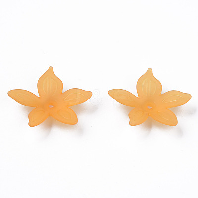 Transparent Acrylic Beads MACR-S373-127-D05-1