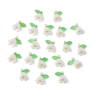 20Pcs Opaque Acrylic Pendants PALLOY-JF02870-1