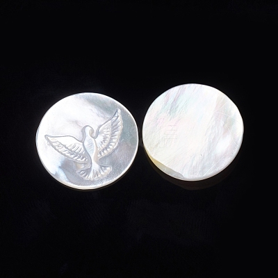 Natural White Shell Cabochons SSHEL-D083-09-1