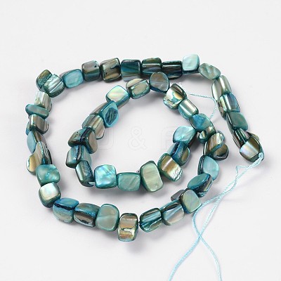 Shell Beads Strands PBB051Y-1