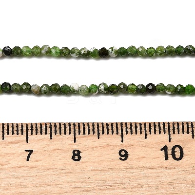 Natural Diopside Beads Strands G-G188-B14-04-1