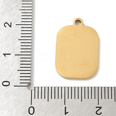 304 Stainless Steel Enamel Pendants STAS-I322-83G-B-1