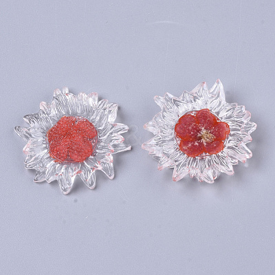 Transparent Clear Epoxy Resin Cabochons CRES-N025-02F-1