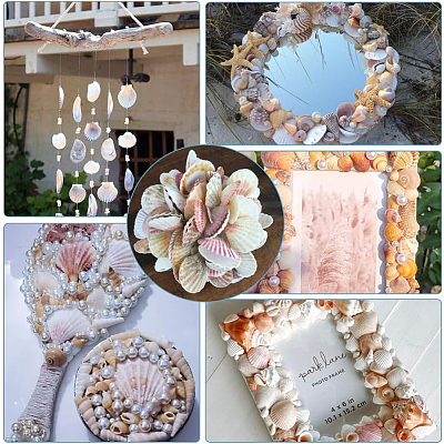 40Pcs Natural Scallop Shell Beads SSHEL-SP0001-02-1