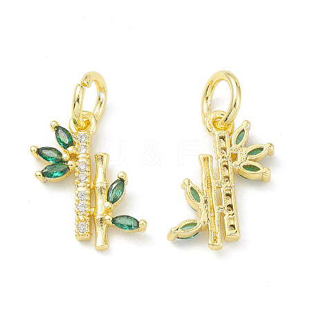 Rack Plating Brass Pave Cubic Zirconia Charms KK-G464-08G-1