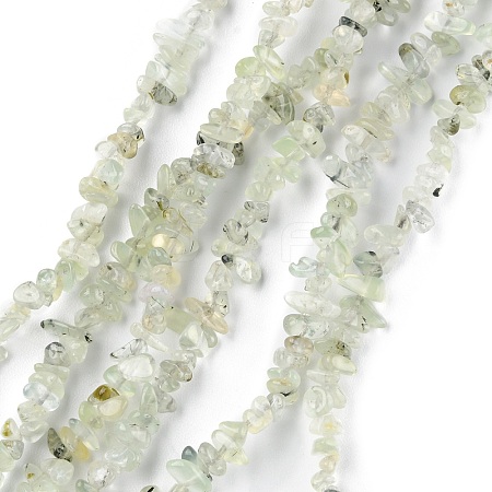 Natural Prehnite Beads Strands G-G0003-B12-1