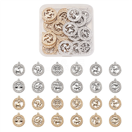 2 Sets 2 Colors Zinc Alloy Jewelry Pendant Accessories FIND-FW0001-06-1