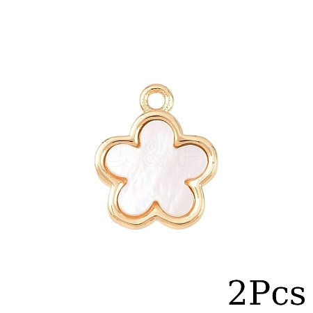 2Pcs Natural Shell Flower Charms KK-YW0003-75-1
