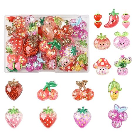 30Pcs 15 Styles Resin & Acrylic & Plastic Cabochons KY-SZ0001-61-1