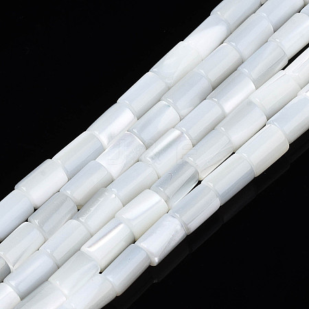 Natural Freshwater Shell Beads Strands X-SHEL-N003-26-A01-1