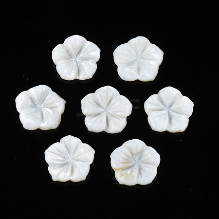 Natural Freshwater Shell Cabochons SHEL-N026-183-1