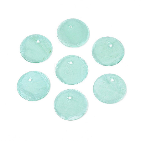 Spray Painted Natural Capiz Shell Disc Charms BSHE-T014-02D-1