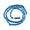 Dyed Synthetic Turquoise Beads Strands G-D356-A01-02-2