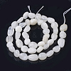 Natural Rainbow Moonstone Beads Strands G-Q961-27-3