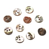 Abalone Shell/Paua Shell LS-BSHE-I011-04D-1