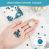 Natural Apatite Beads Strands G-OC0002-60A-2