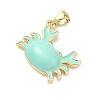Brass Enamel Pendants KK-G555-20G-01-2