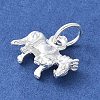 925 Sterling Silver 3D Chinese Zodiac Charms STER-P066-01S-07-2