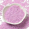 Baking Paint Glass Seed Beads SEED-P006-03A-11-2