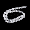 Macaron Color Natural Selenite Beads Strands G-B102-A01-09-2