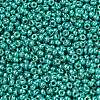 MIYUKI Round Rocailles Beads X-SEED-G007-RR5106-2