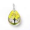 Transparent Glass Pendants GLAA-SZC0001-01B-2