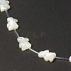 Natural White Shell Mother of Pearl Shell Beads BSHE-B005-01-3