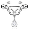 316L Surgical Stainless Steel Clear Cubic Zirconia Teardrop Nipple Stirrup WGE53BF-01-1