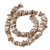 Natural Freshwater Shell Beads Strands SHEL-A006-05-2