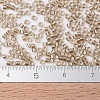 MIYUKI Delica Beads SEED-X0054-DB0907-4