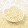 6/0 Glass Seed Beads SEED-T006-04F-05-2