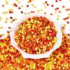 Opaque & Transparent Glass Seed Beads SEED-Q041-06B-2