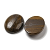 Natural Tiger Iron Cabochons G-C115-01B-28-2