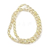Transparent Electroplate Glass Beads Strands EGLA-I017-01-FR02-2