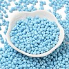 6/0 Opaque Baking Paint Glass Seed Beads X1-SEED-M012-02A-13-2