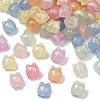 Luminous Transparent Acrylic Beads OACR-B031-20-2