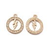 Alloy Crystal Rhinestone Pendants PALLOY-B009-24KCG-1