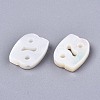 Natural White Shell Beads LS-SSHEL-ZX004-02D-2