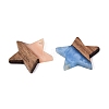 Opaque & Transparent Resin & Walnut Wood Pendants RESI-N053-31-3