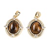 Natural Tiger Eye Oval Pendants KK-U043-44G-E-1